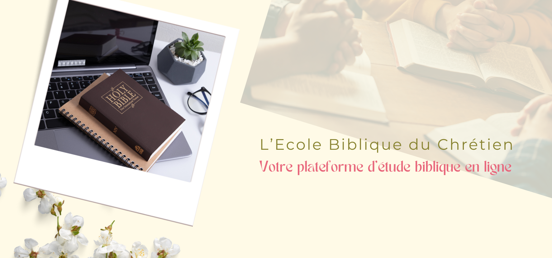 Etude biblique en ligne 30 x 15 cm 15 x 7 cm