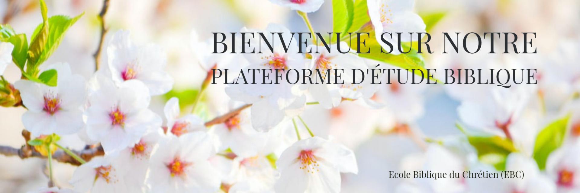 Bienvenue sur notre plateforme d'étude biblique